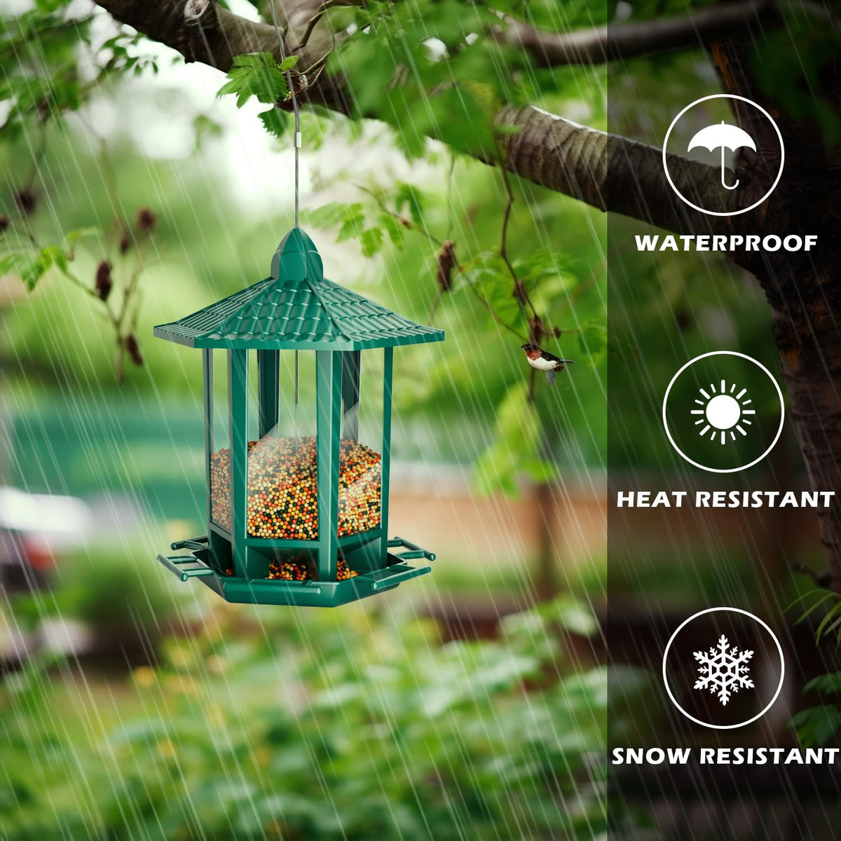 Birdream Pagoda feeder warranty and support information for customers.