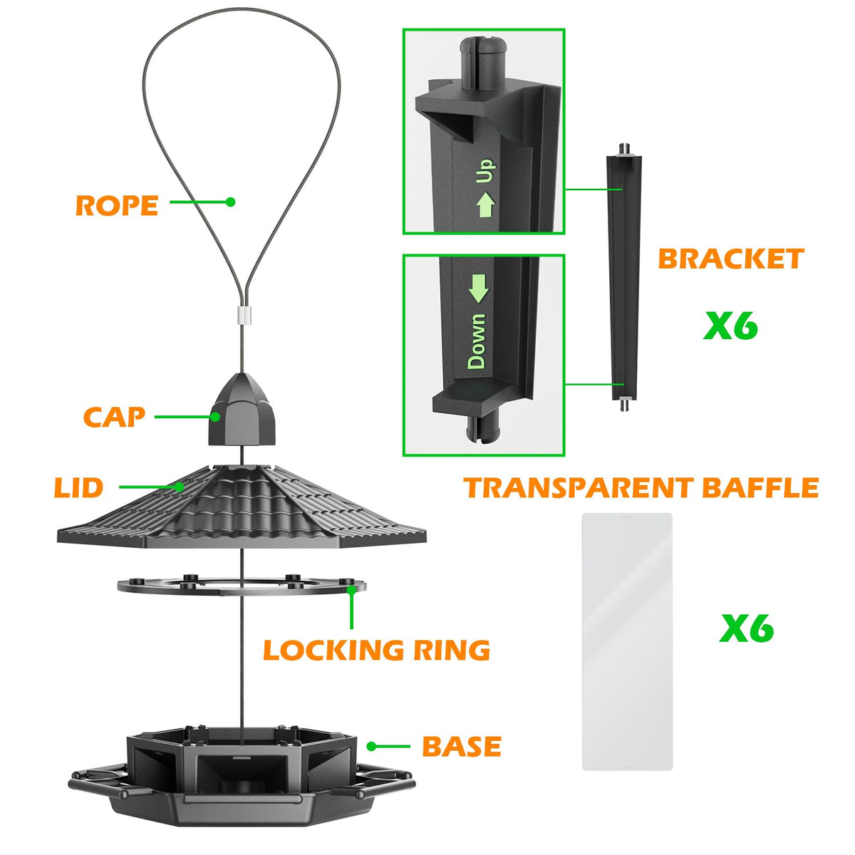 Birdream feeder with wide opening for simple refilling