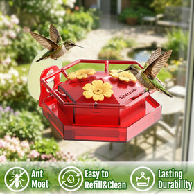 Bright red design and ample perch invite closer hummingbird viewing
