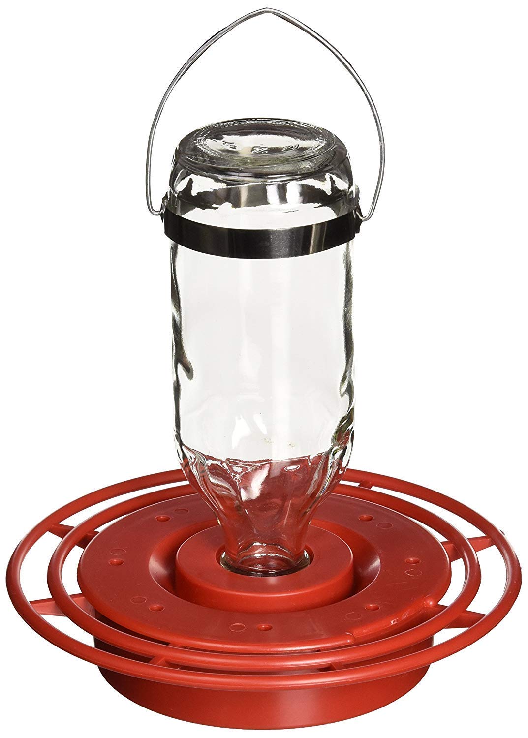 Birds Choice Best-1 16oz hummingbird feeder with wrap-around perch for stable feeding.