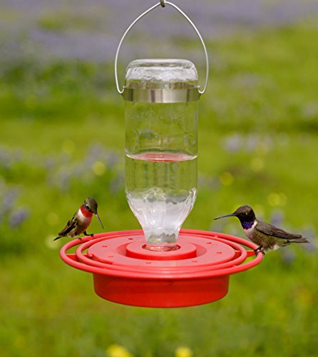 Birds Choice Best-1 polycarbonate design with brass hangers for outdoor durability