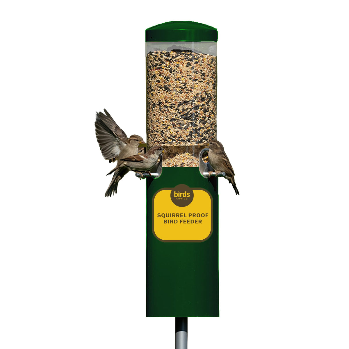 Birds Choice Classic Squirrel-Proof feeder with green finish keeps seeds safe from squirrels.