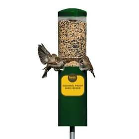 Birds Choice Classic Squirrel-Proof feeder with green finish keeps seeds safe from squirrels.