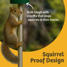 Birds Choice four-perches support multiple birds feeding.
