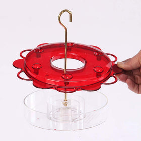 Birds Choice Hummerfest ant-guard helps keep nectar pest-free for peaceful feeding