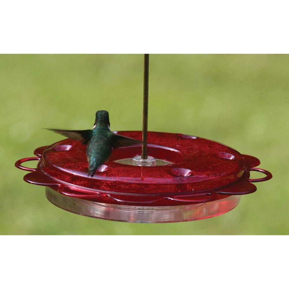 Birds Choice Hummerfest dishwasher-safe feature simplifies backyard cleaning