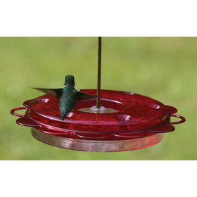 Birds Choice Hummerfest dishwasher-safe feature simplifies backyard cleaning