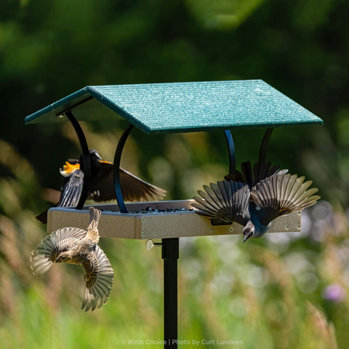Birds Choice American-made outdoor hardware for durable bird setups.