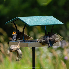Birds Choice American-made outdoor hardware for durable bird setups.