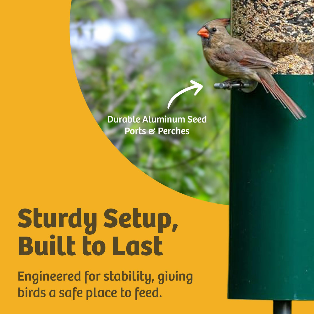 Birds Choice 5-pound seed capacity means fewer refills.