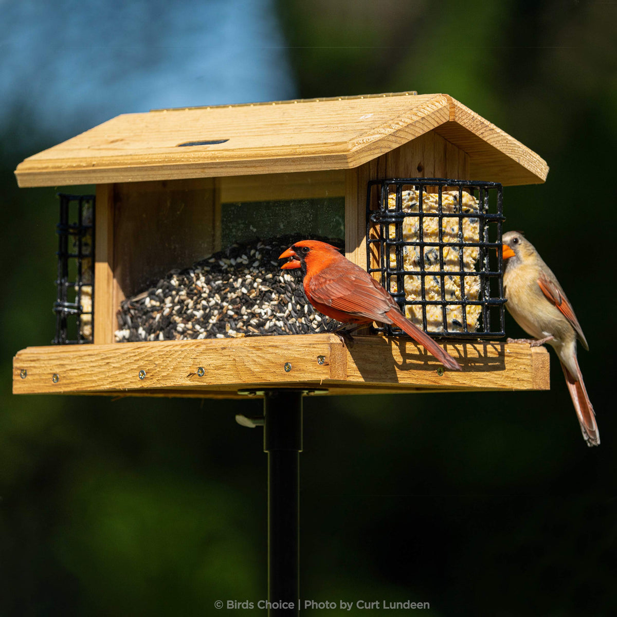 Birds Choice thumbscrew for quick, secure installation.