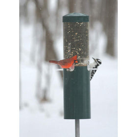 Birds Choice tube feeder with UV-resistant polycarbonate for clear seed visibility.