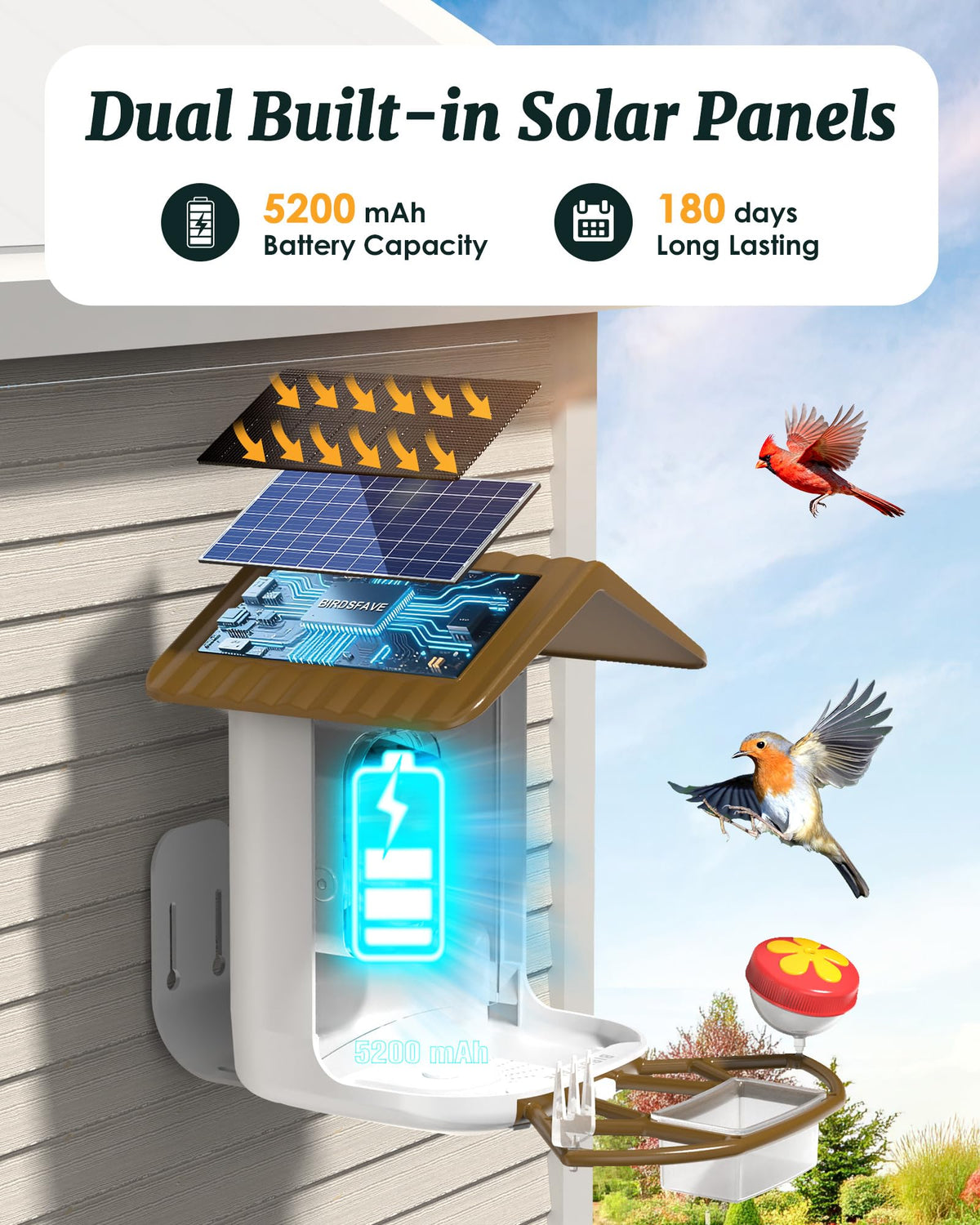BirdsFAVE AI bird ID feature identifies species at the feeder.