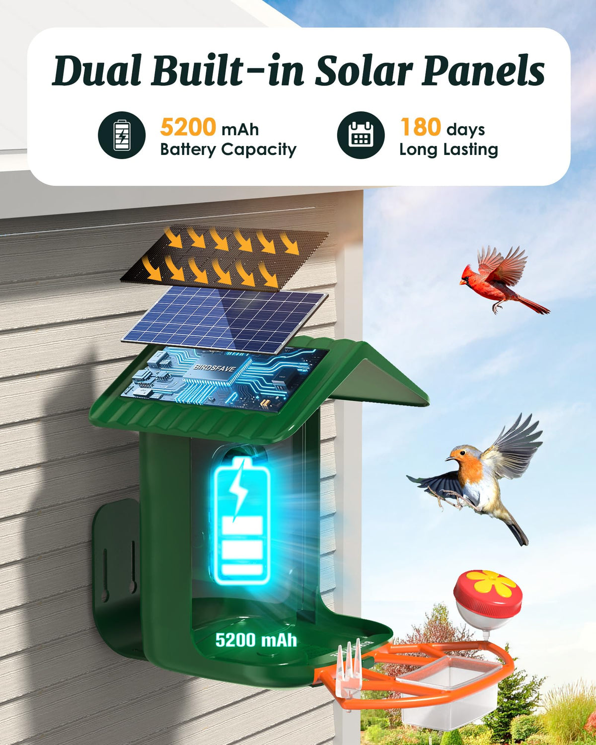 BIRDSFAVE AI identification display showing bird species at feeder