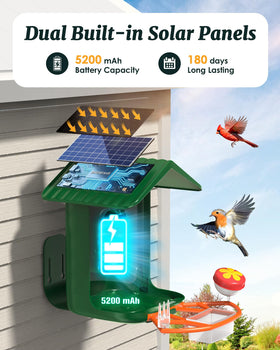 BIRDSFAVE AI identification display showing bird species at feeder