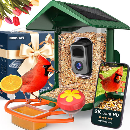 BIRDSFAVE camera bird feeder front view captures close-up backyard birds in crystal 2K