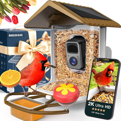 BirdsFAVE camera setup with instant alerts shows clear backyard visitors.