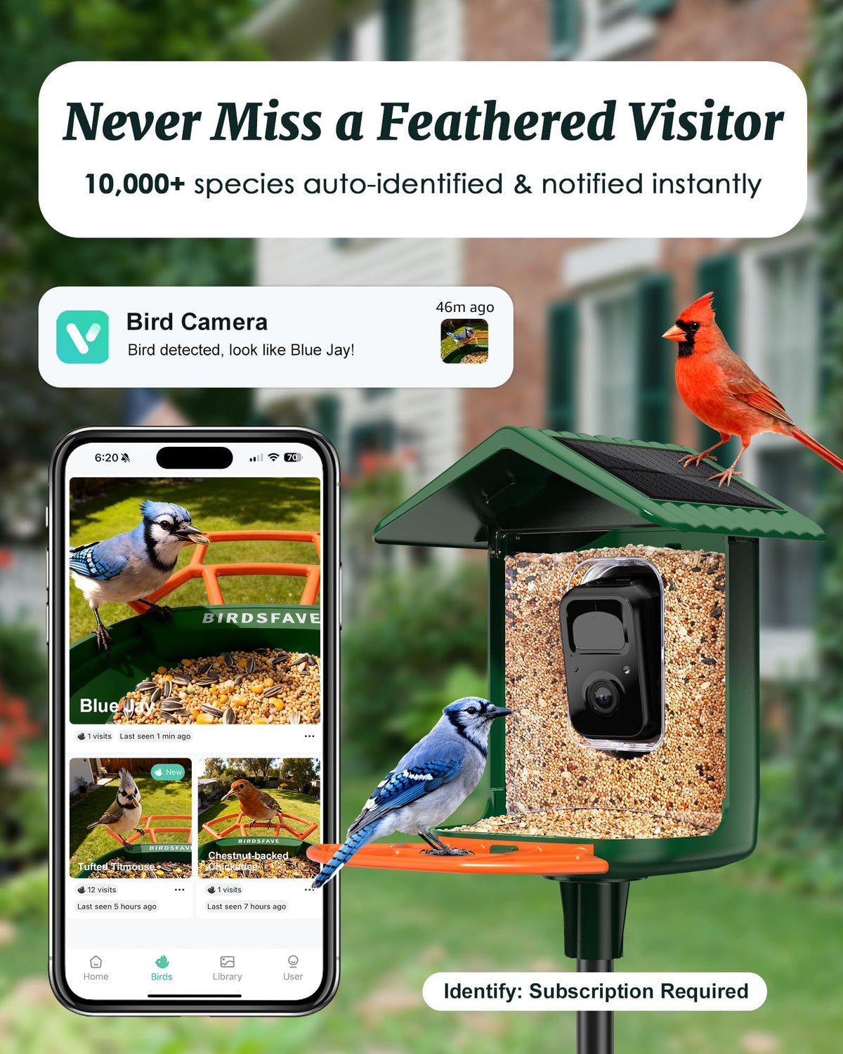 BIRDSFAVE solar-powered bird feeder side view in outdoor setting