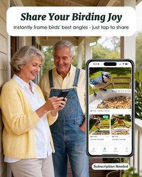 BirdsFAVE solar-powered feeder demonstrates day-long energy and feeding.
