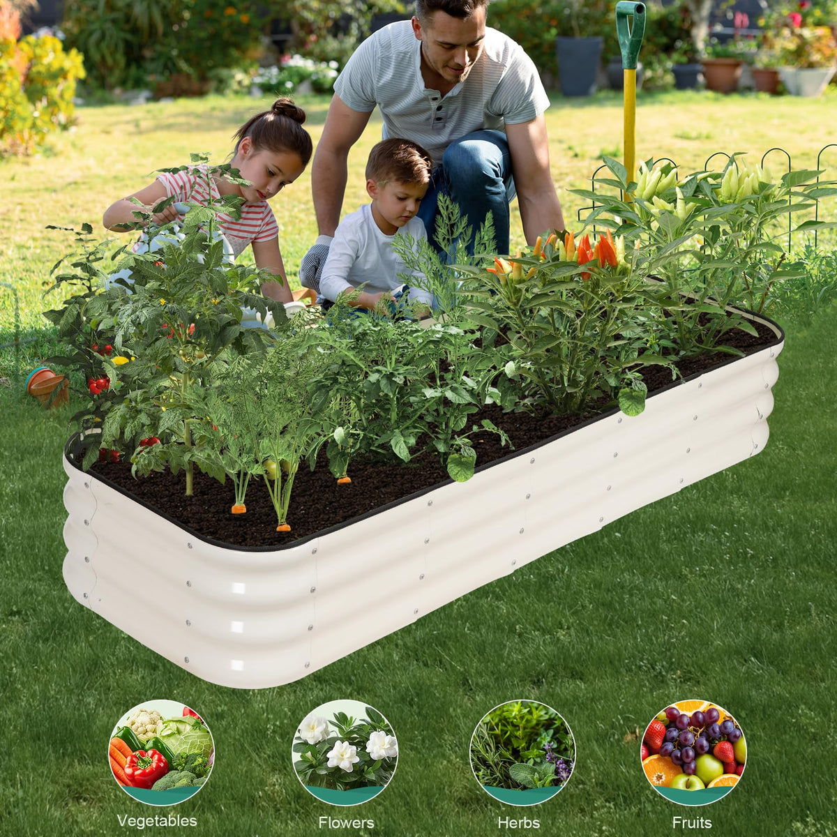 BIRDSINYARD ideal for vegetables, herbs, and flowers in outdoor gardens.