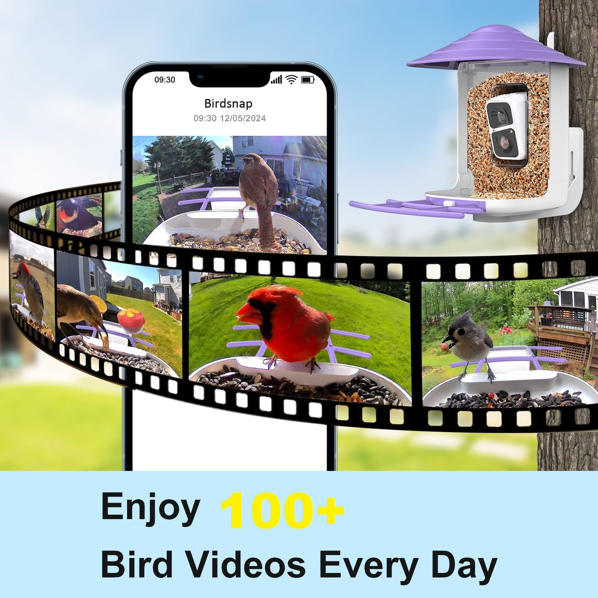 Birdsnap TUC Bird Feeder Camera 32GB storage keeps hours of clips accessible