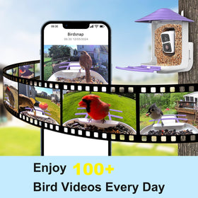 Birdsnap TUC Bird Feeder Camera 32GB storage keeps hours of clips accessible