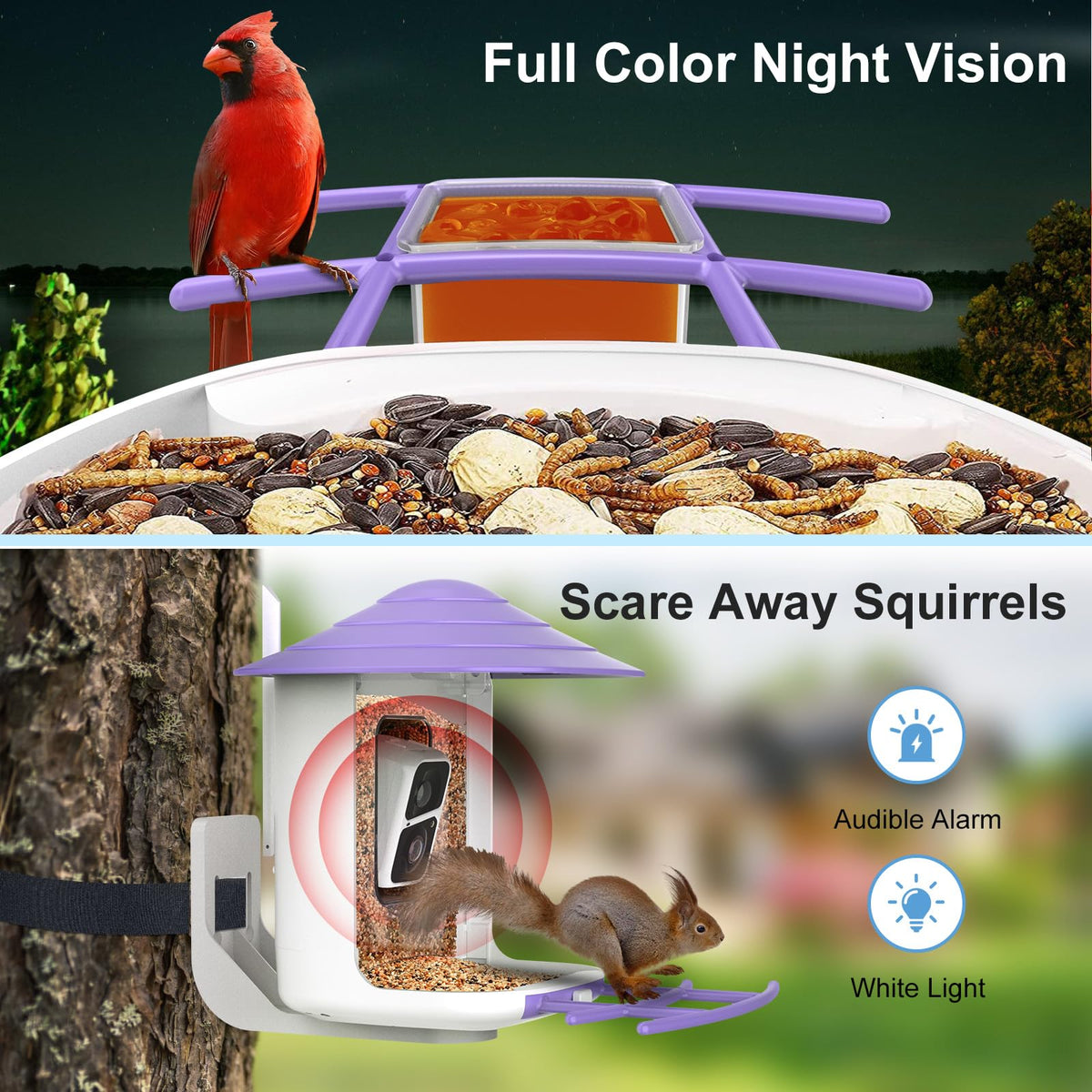 Birdsnap TUC Bird Feeder Camera easy mounting on tree, wall, or fence