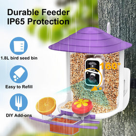 Birdsnap TUC Bird Feeder Camera weatherproof IP65 for all seasons