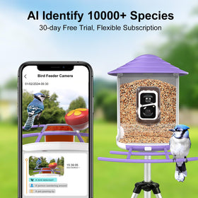 Birdsnap TUC Bird Feeder Camera 4-device WiFi sharing lets family join