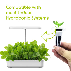 Bironzoco germination-boosting sponges promote healthy seedlings.