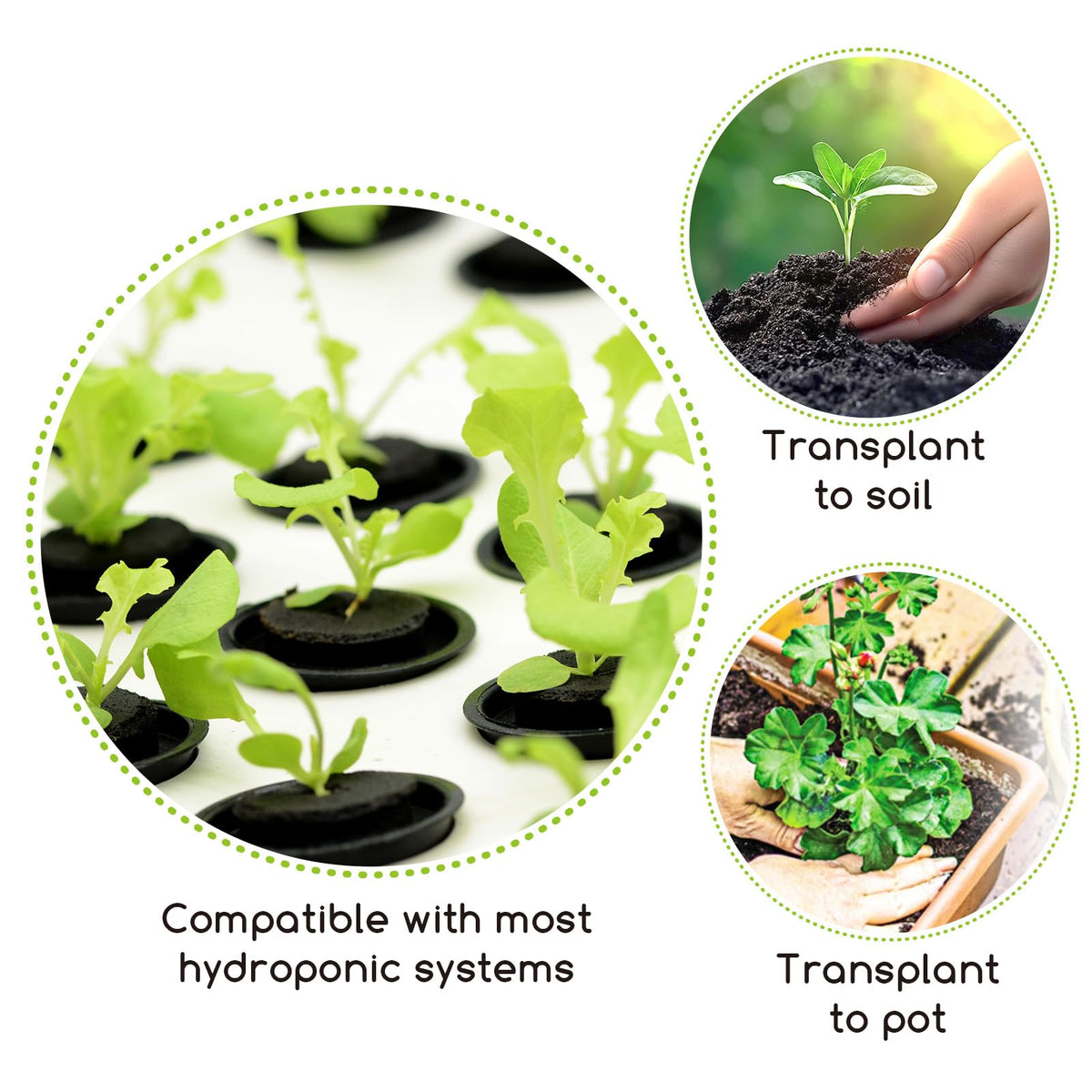Bironzoco mineral-rich grow medium supports germination and root development.