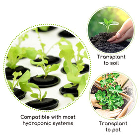 Bironzoco mineral-rich grow medium supports germination and root development.
