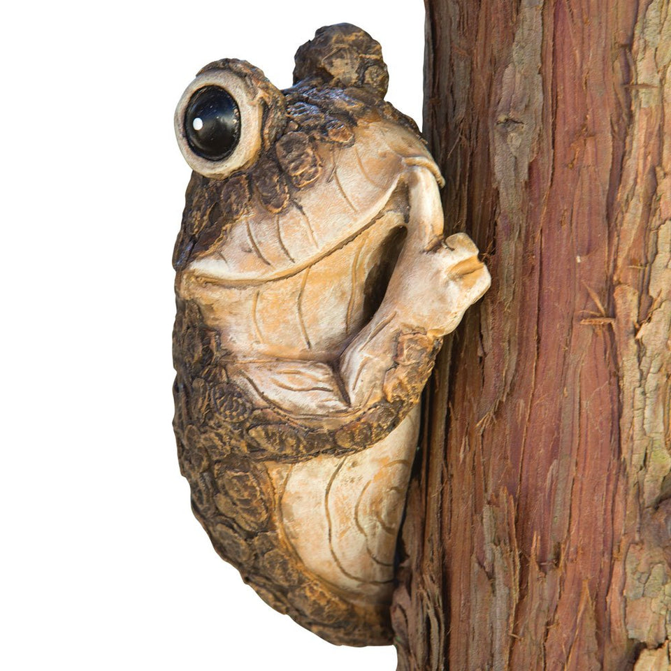 Bits and Pieces Keep Quiet Frog Tree Peeker bark sculpture enhances garden curb appeal.