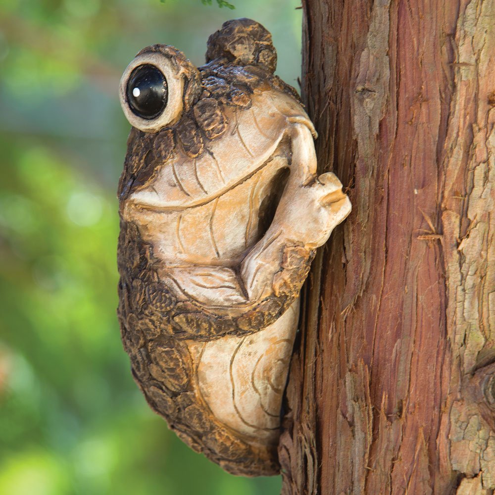 Bits and Pieces Keep Quiet Frog Tree Peeker gift-ready garden art.