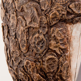 Bits and Pieces Keep Quiet Frog Tree Peeker polyresin bark texture looks natural.