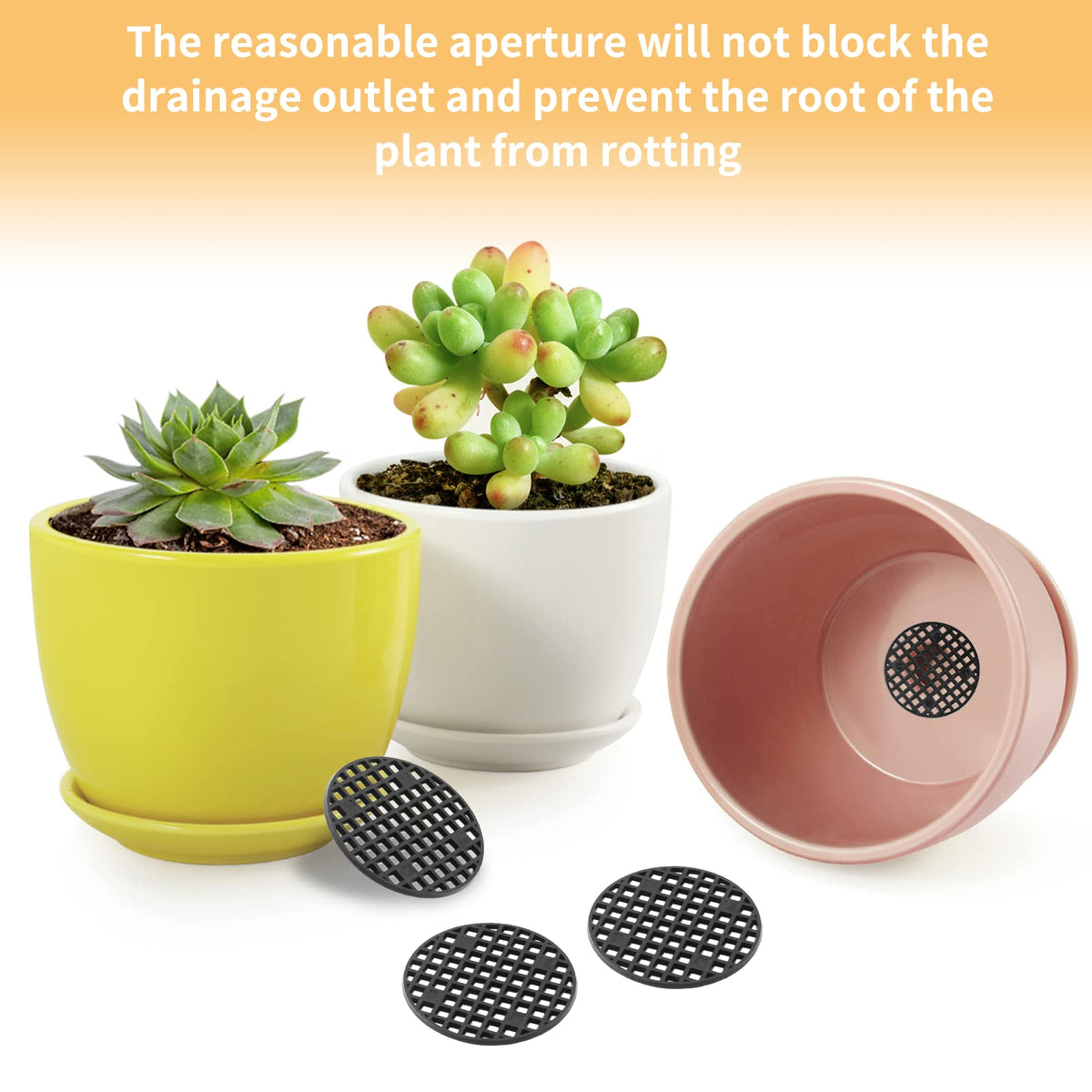 Bivethoi plant pot screen mesh provides durable, eco-friendly pot protection.
