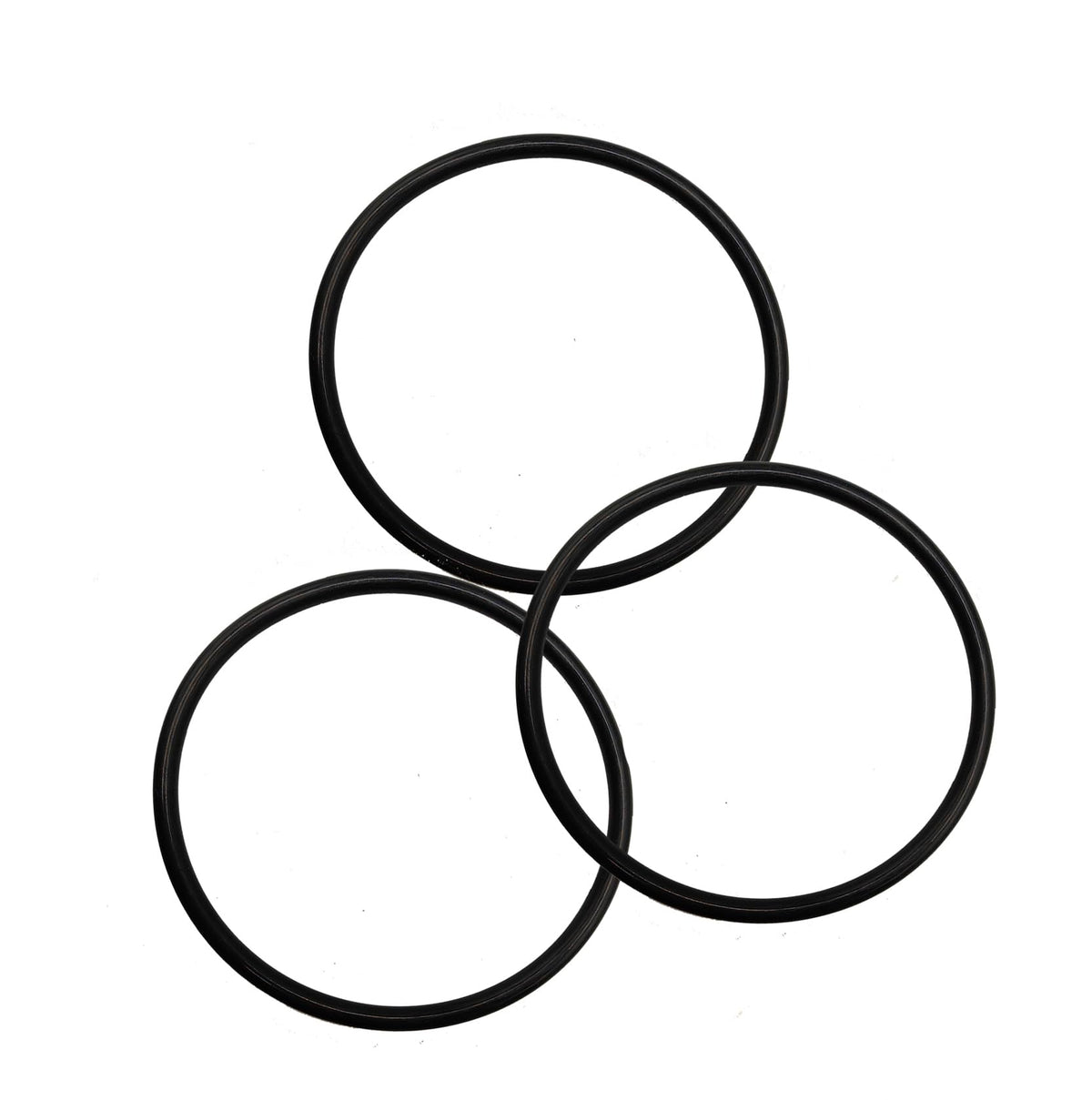 Bizhala 357255 lid O-ring close-up showing durable rubber seal for reliable pool pump sealing.