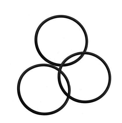 Bizhala 357255 lid O-ring close-up showing durable rubber seal for reliable pool pump sealing.