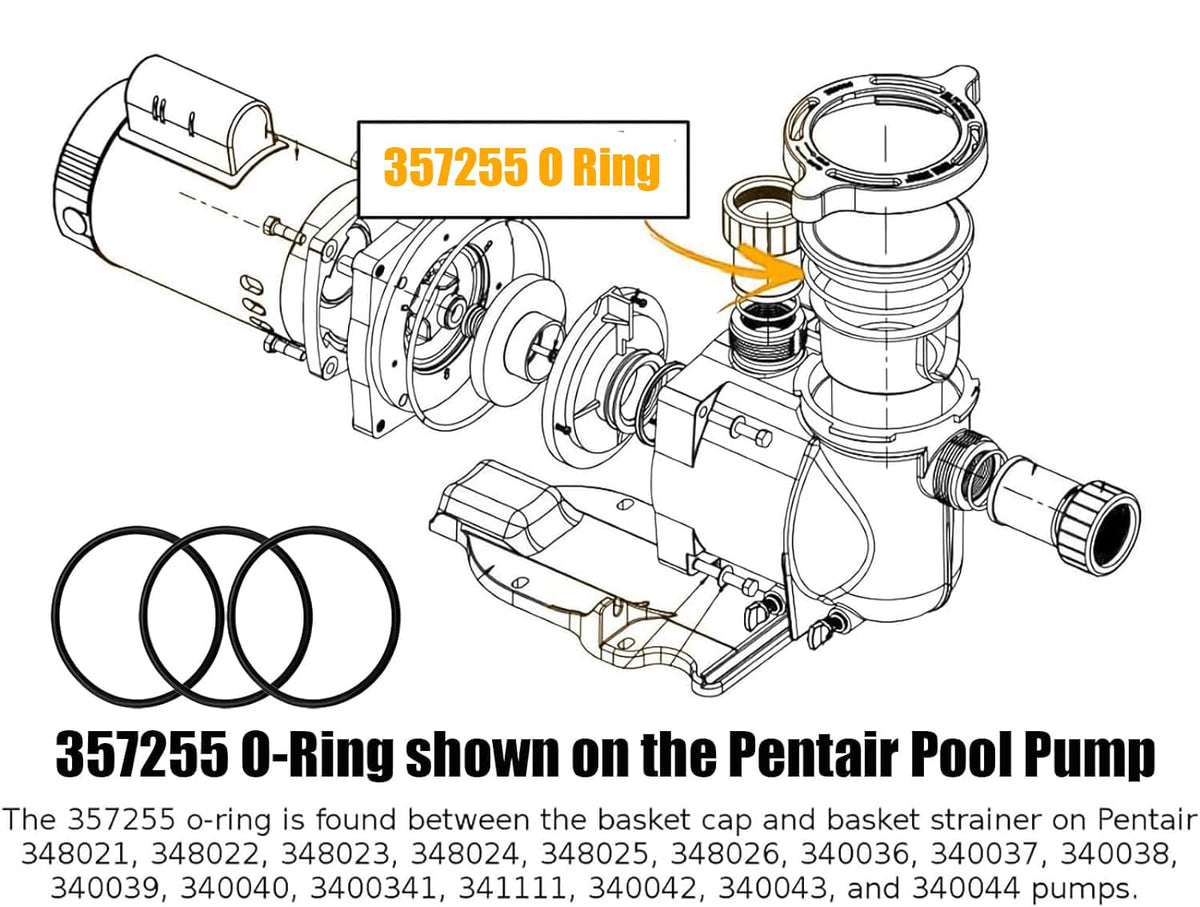 Pack for routine pool maintenance supports longer pump life.
