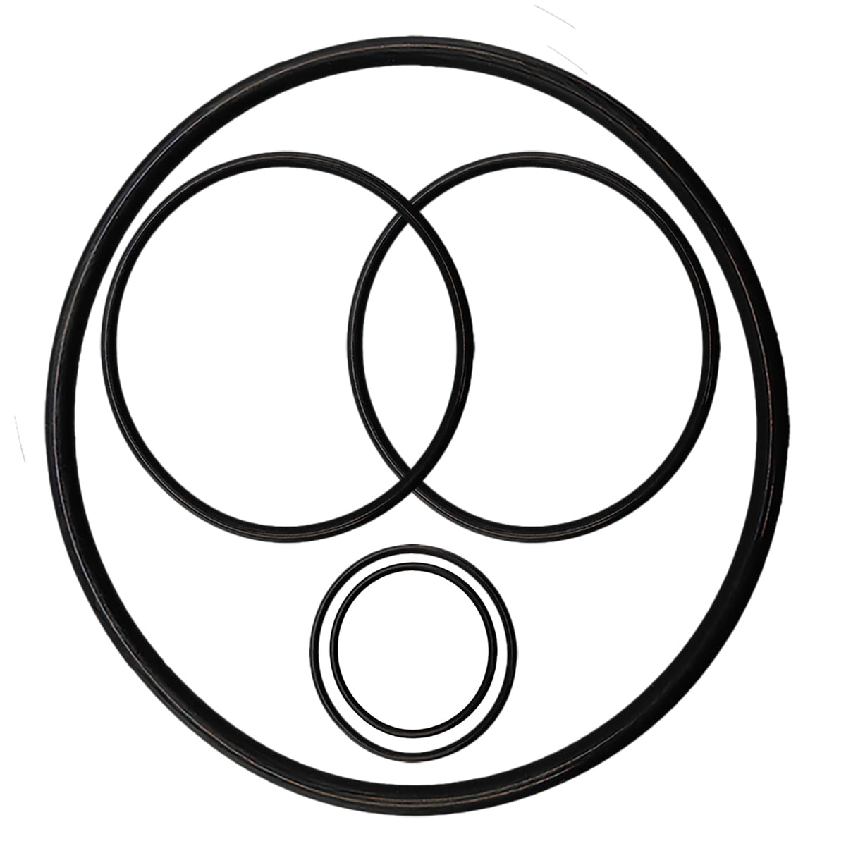 Bizhala lid O-Ring 350013 provides a tight lid seal.