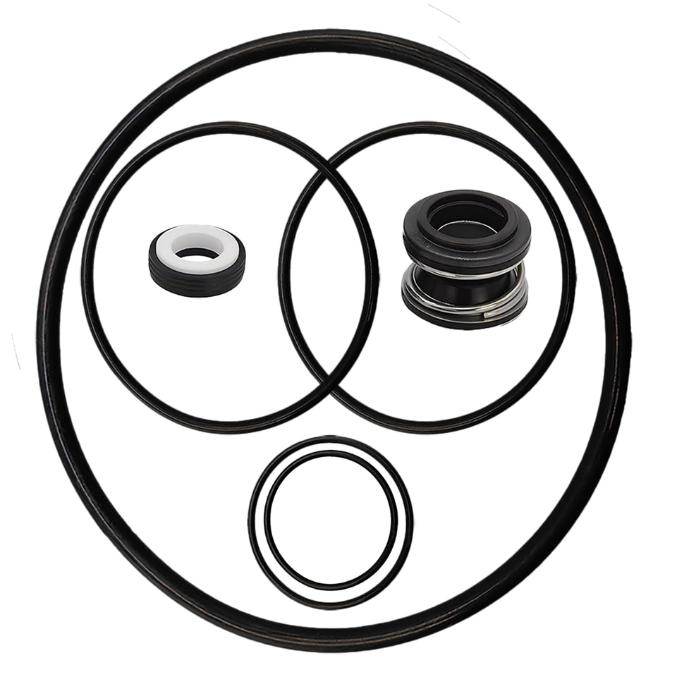 Bizhala PS-200 shaft seal for reliable pool pump performance.