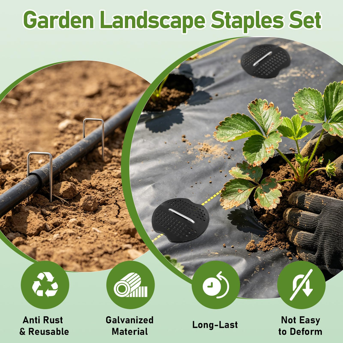 BKIELLT galvanized steel stakes resist rust in outdoor use.