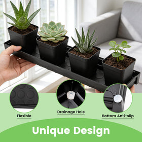 BKIELLT seed starter tray fits 4-inch pots for seed starting and microgreens indoors.