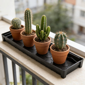 BKIELLT versatile plant tray for seed starting, microgreens, and potted displays.