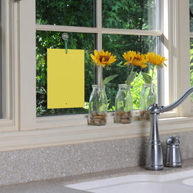 Black+Decker fly trap window hanger setup shown for versatile placement