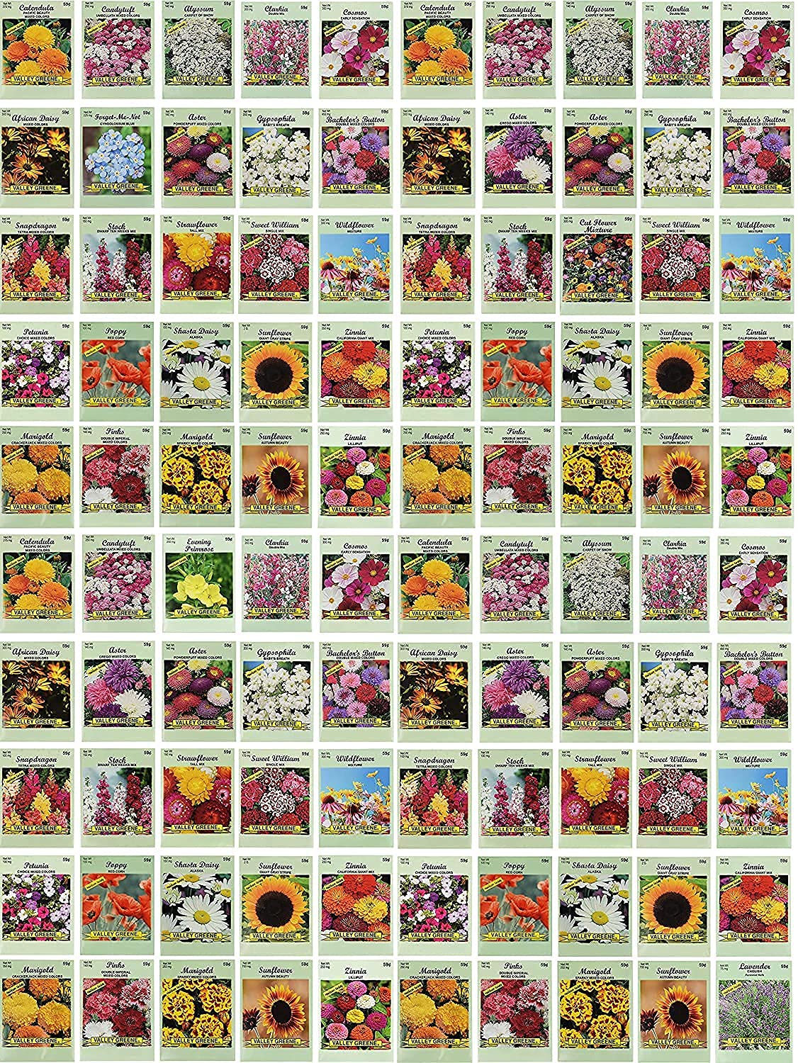 Black Duck Brand flower seed packets shown in a 100-pack assortment for vibrant garden color.