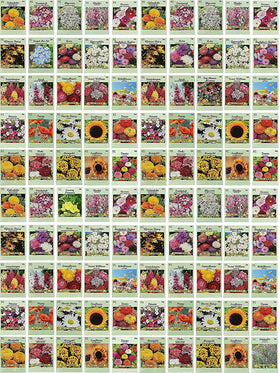 Black Duck Brand flower seed packets shown in a 100-pack assortment for vibrant garden color.