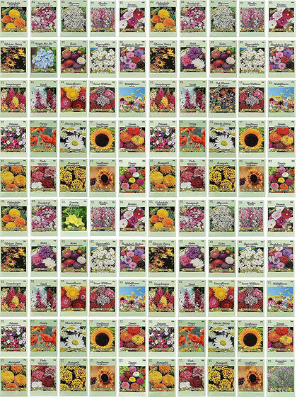 Black Duck Brand flower seed packets shown in a 100-pack assortment for vibrant garden color.