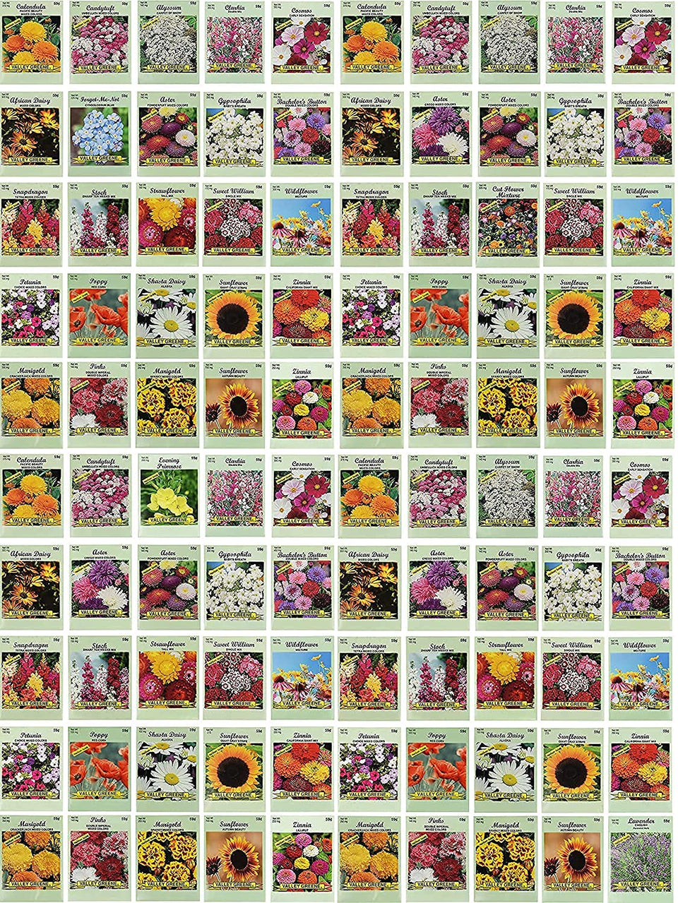 Black Duck Brand flower seed packets shown in a 100-pack assortment for vibrant garden color.