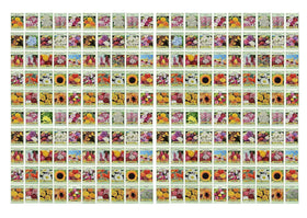 Black Duck Brand 200 seed packets display diverse blooms for color planning